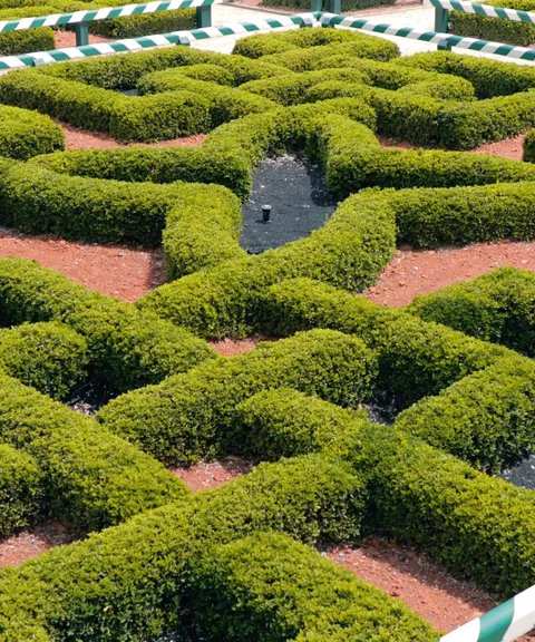 hamilton gardens hedges